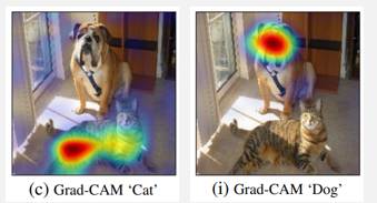 gradcam