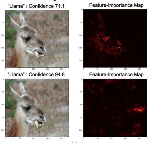 llama