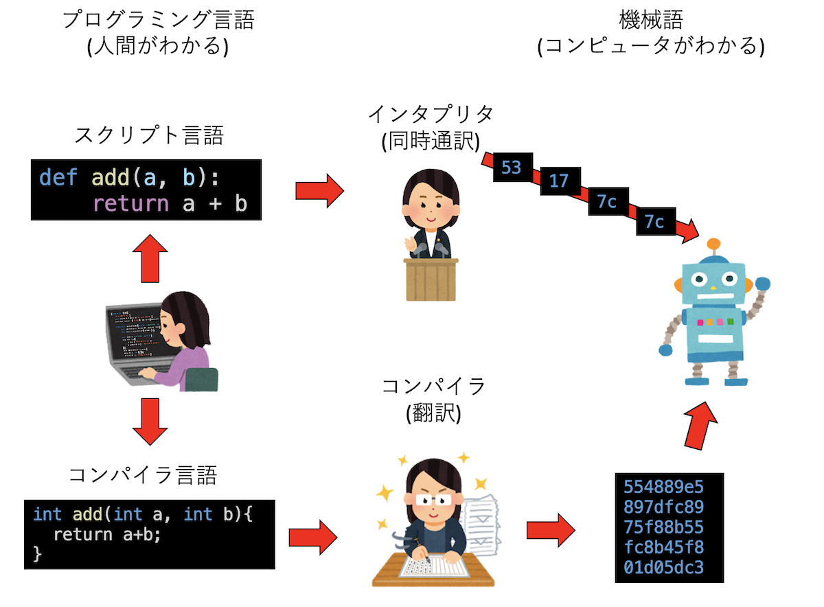 スクリプト言語とコンパイラ言語