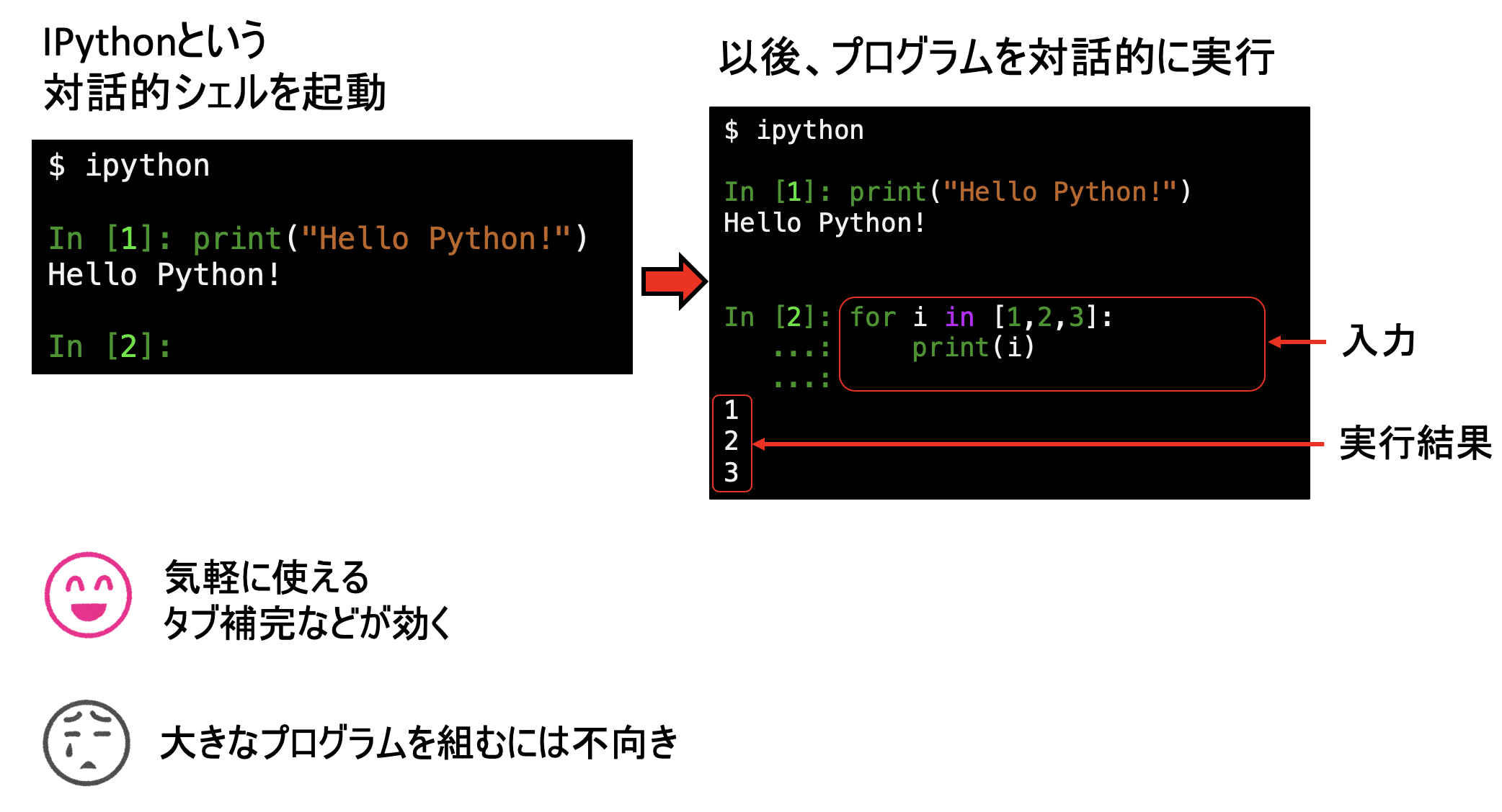 IPythonでインタラクティブに実行