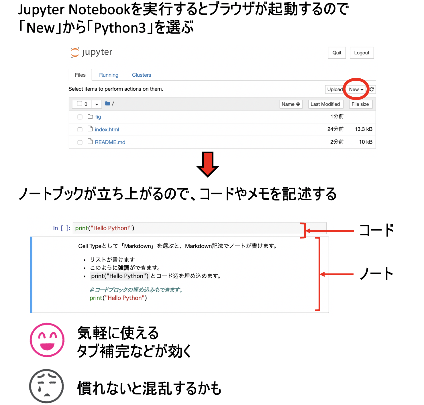 Jupyter Notebookで実行