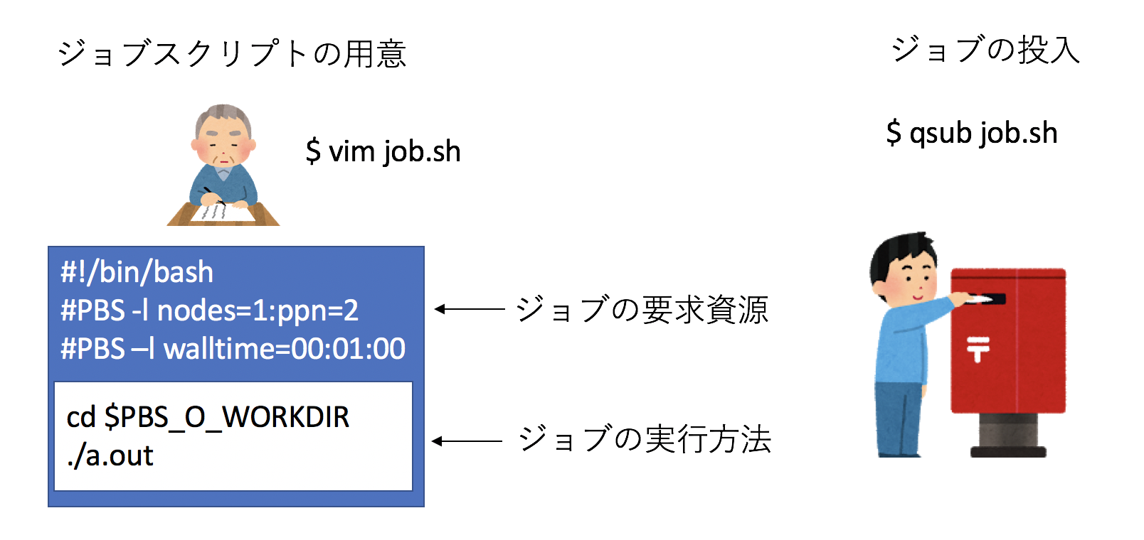 ジョブスクリプトとジョブの投入